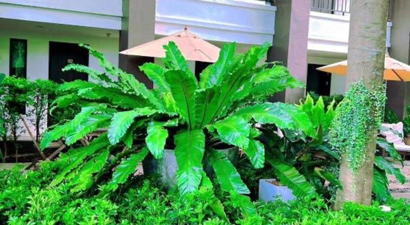 Gasser Park & Residence Khon Kaen Dış mekan fotoğraf